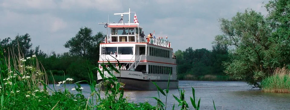 Zilvermeeuw-1